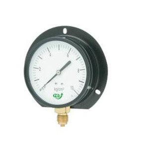 Pressure Gauges-ALL STEEL CASE PG - GEN. PURPOSE-photo