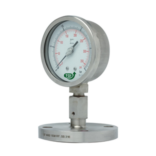 Pressure Gauges-PG ALL WELDED DIAPHRAGM  SEAL GAUGE, FLANGED-photo
