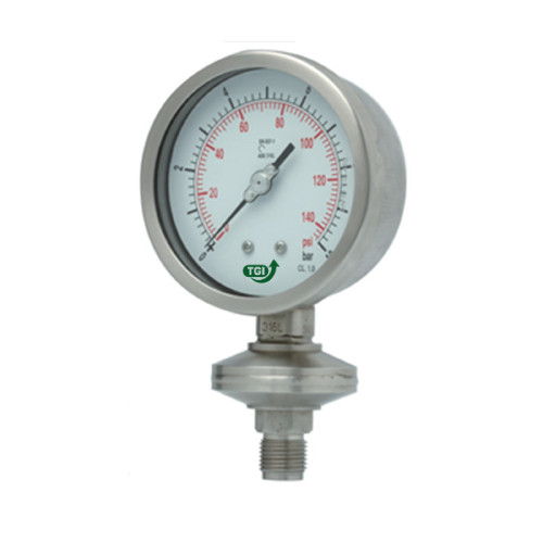 Pressure Gauges-PG WITH ALL WELDED DIAPHRAGM  SEAL GAUGE, THREADED-photo